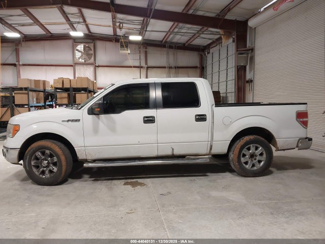 Ford F-150 Xlt 2014 1FTFW1CF4EFA58793 Image 14