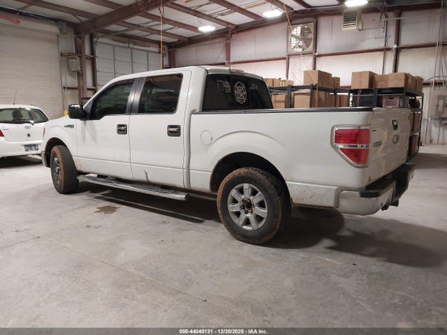 Ford F-150 Xlt 2014 1FTFW1CF4EFA58793 Image 3