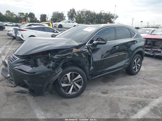 JTJGJRDZ8L2146029 Lexus NX 300H
