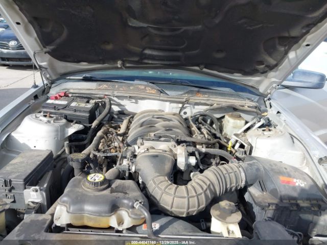 2005 FORD MUSTANG 1ZVFT82H255176798 Photo 9