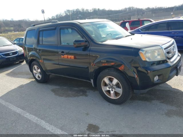 2010 HONDA PILOT 5FNYF4H51AB012945