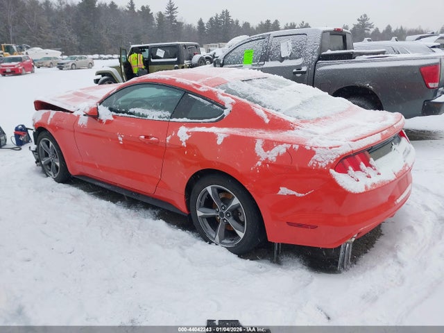 1FA6P8AM4G5305056 Ford Mustang V6
