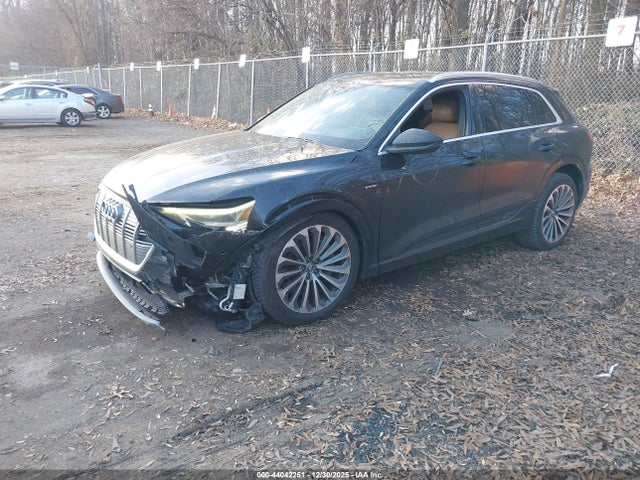 2019 AUDI E-TRON WA1VAAGE7KB005367 Photo 1