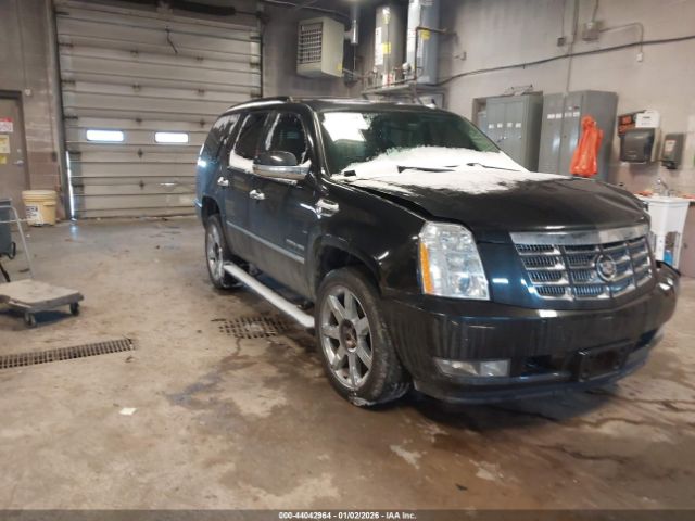 2011 CADILLAC ESCALADE 1GYS4CEF2BR164256