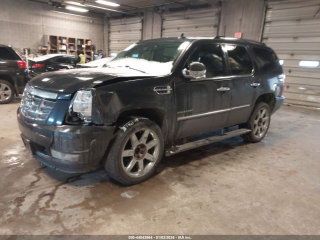 2011 CADILLAC ESCALADE 1GYS4CEF2BR164256 Photo 1