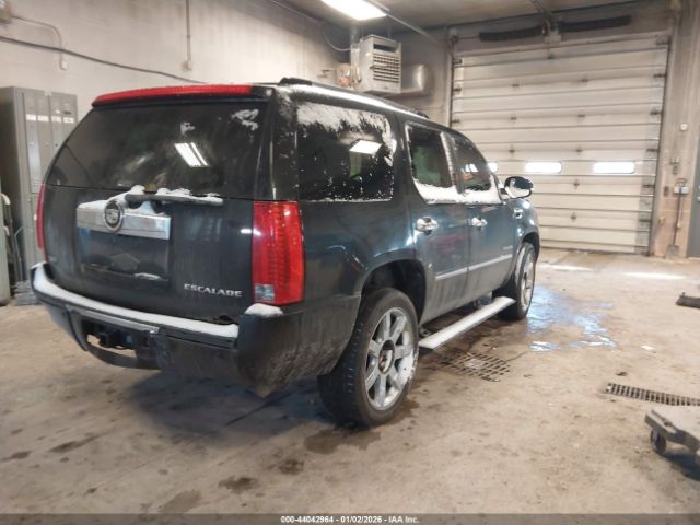 2011 CADILLAC ESCALADE 1GYS4CEF2BR164256 Photo 3