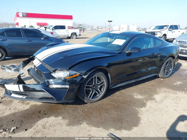Aukcja sprzedaży 2023 Ford Mustang Ecoboost Fastback, vin: 1FA6P8THXP5100860, numer aukcji: 44043507