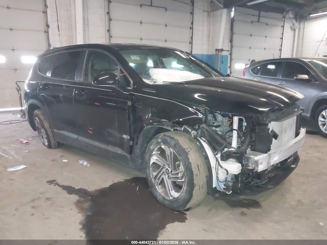 2023 HYUNDAI SANTA FE 5NMS1DAJ3PH607587