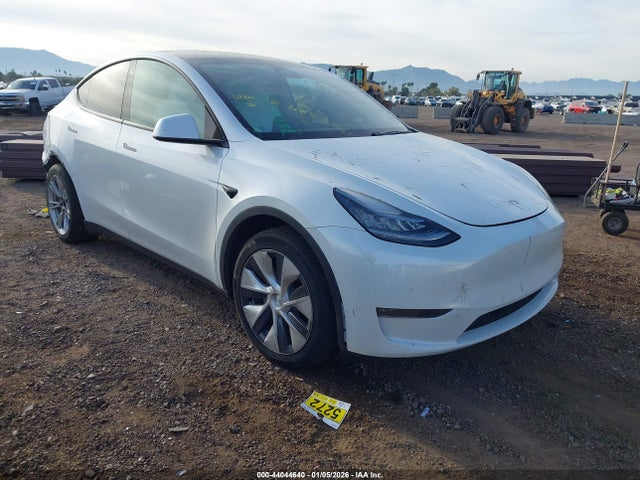 2020 TESLA MODEL Y 5YJYGDEEXLF032602 Photo 0