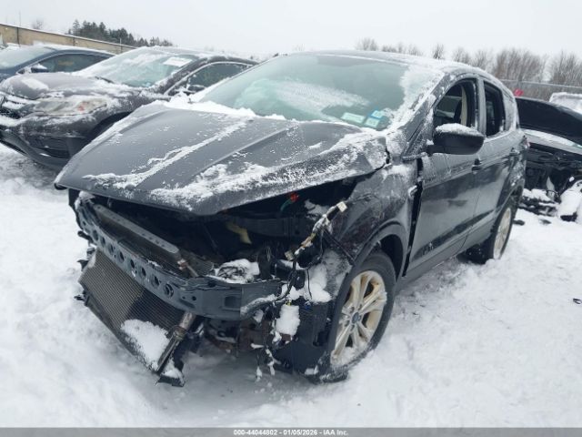 2019 FORD ESCAPE 1FMCU0GD3KUC06317 Photo 1