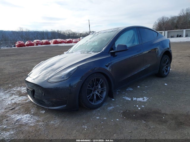 2024 TESLA MODEL Y 7SAYGDEDXRF108516 Photo 1