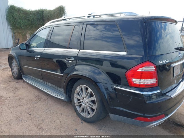 2010 MERCEDES-BENZ GL 550 4JGBF8GE4AA598415 Photo 2