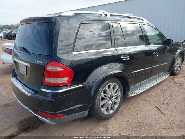 2010 MERCEDES-BENZ GL 550 4JGBF8GE4AA598415 Photo 3