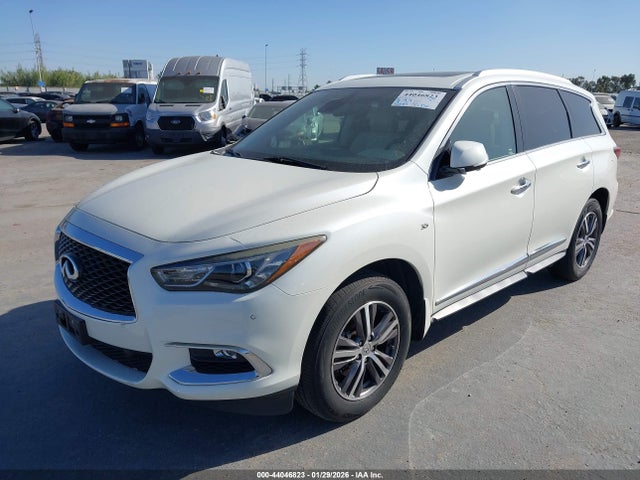 5N1DL0MN0KC525281 Infiniti QX60 LUXE