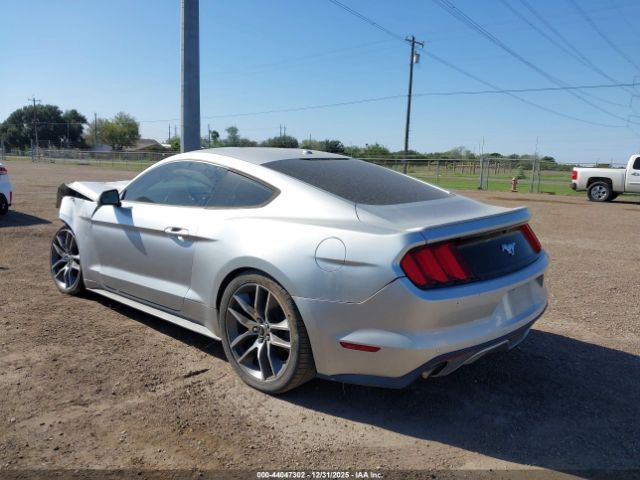 2017 FORD MUSTANG 1FA6P8TH3H5241206 Photo 2