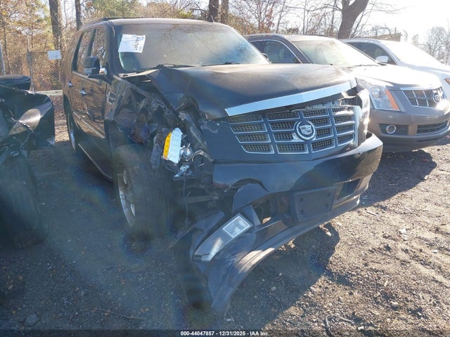2010 CADILLAC ESCALADE 1GYUKBEF4AR135719 Photo 0