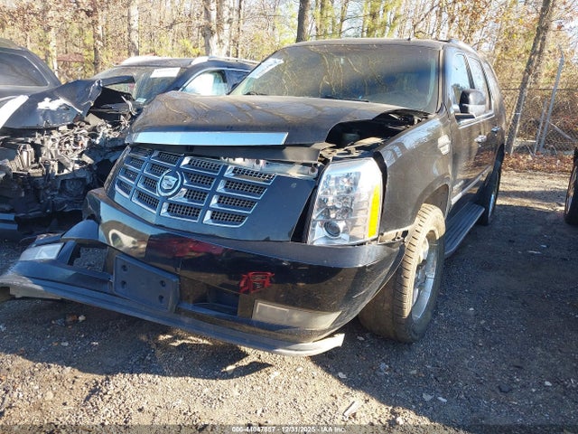 2010 CADILLAC ESCALADE 1GYUKBEF4AR135719 Photo 1