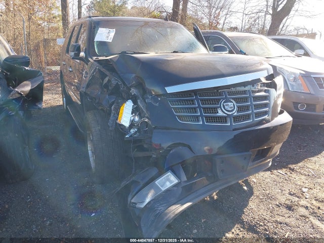 2010 CADILLAC ESCALADE 1GYUKBEF4AR135719 Photo 5