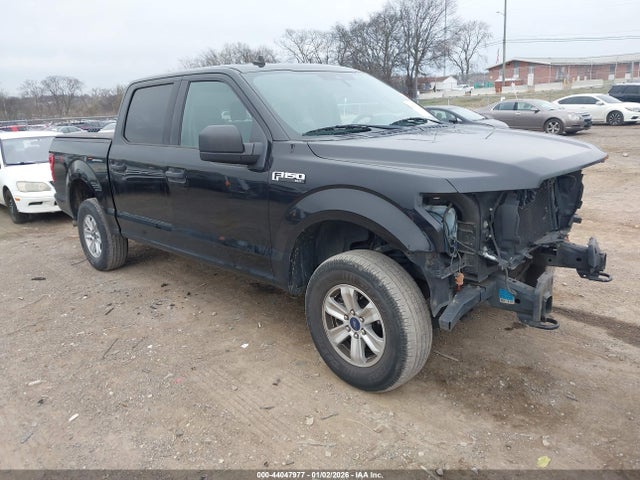 2019 FORD F-150 1FTEW1E55KFA67207