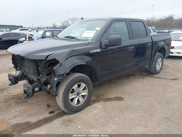 2019 FORD F-150 1FTEW1E55KFA67207 Photo 1