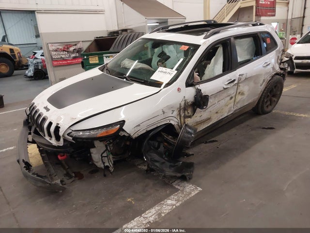 Jeep Cherokee Trailhawk 2017 1C4PJMBS7HW544926 Image 2