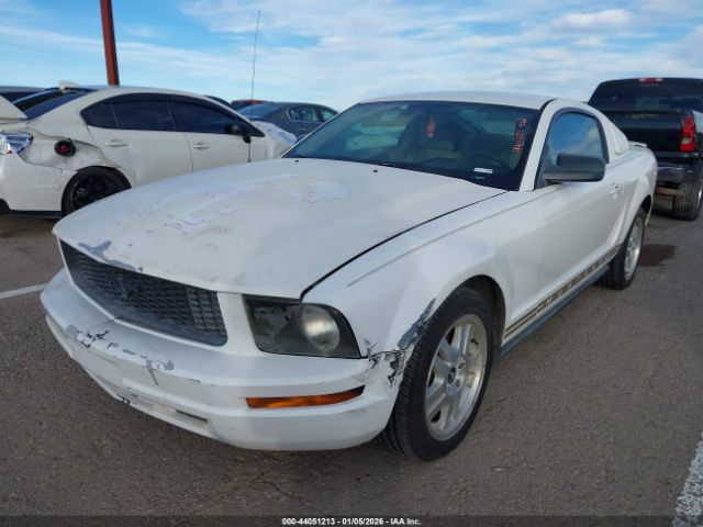 2007 FORD MUSTANG 1ZVFT80N575228954 Photo 1