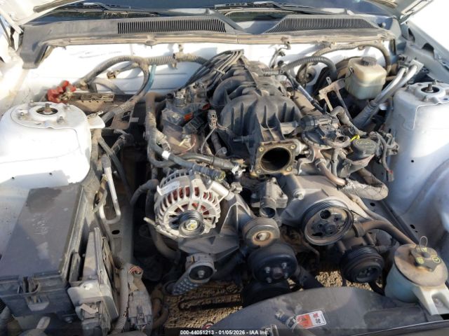 2007 FORD MUSTANG 1ZVFT80N575228954 Photo 5