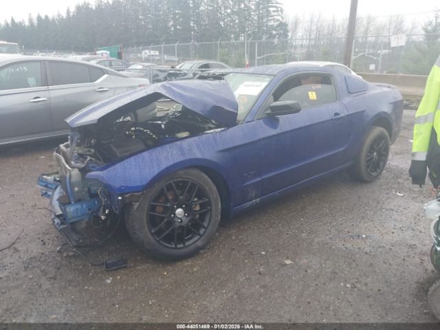 2014 FORD MUSTANG 1ZVBP8AM3E5277625 Photo 1