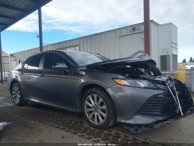 4T1B11HK8KU801896 Toyota CAMRY LE