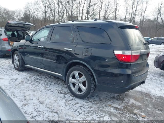 2011 DODGE DURANGO 1D4SE5GT5BC651667 Photo 2