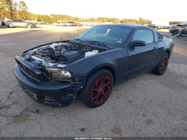 2012 FORD MUSTANG 1ZVBP8AM7C5228439 Photo 1