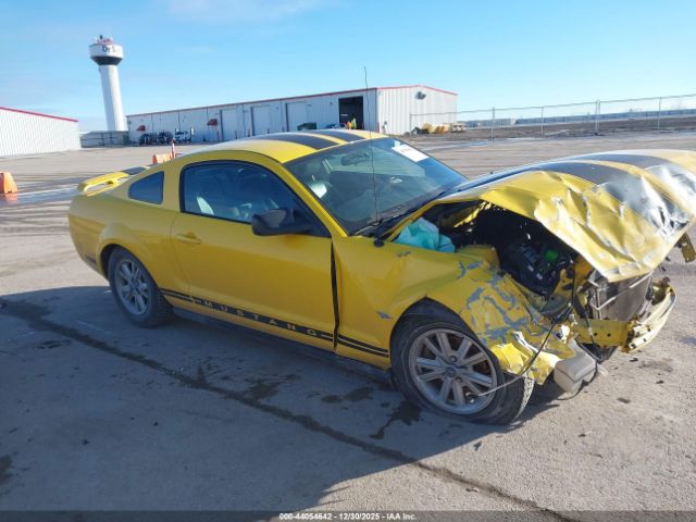 2006 FORD MUSTANG 1ZVFT80N065145236