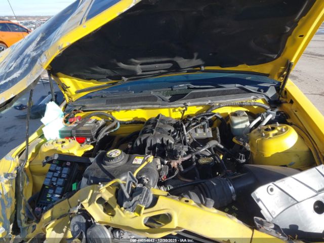 2006 FORD MUSTANG 1ZVFT80N065145236 Photo 9