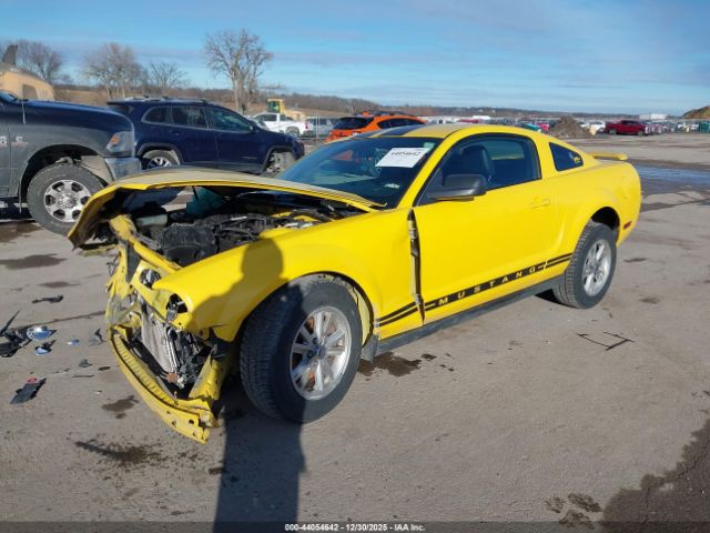 2006 FORD MUSTANG 1ZVFT80N065145236 Photo 1