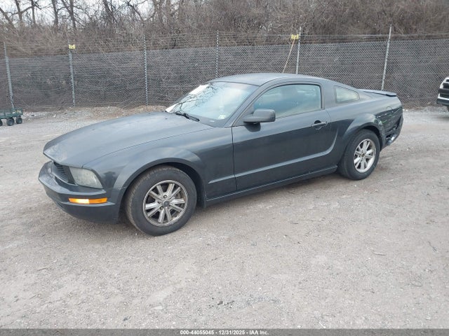 2007 Ford Mustang მანქანა იყიდება აუქციონზე, vin: 1ZVHT80N375239234, აუქციონის ნომერი: 44055045