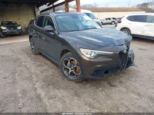 2019 ALFA ROMEO STELVIO ZASPAKBN3K7C51516