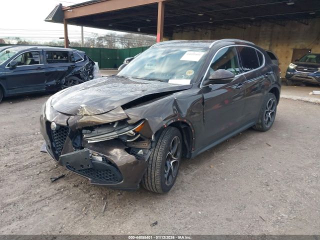 2019 ALFA ROMEO STELVIO ZASPAKBN3K7C51516 Photo 1