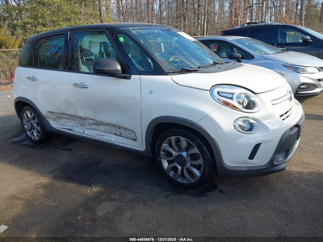 2014 FIAT 500L ZFBCFADH3EZ029502 Photo 0