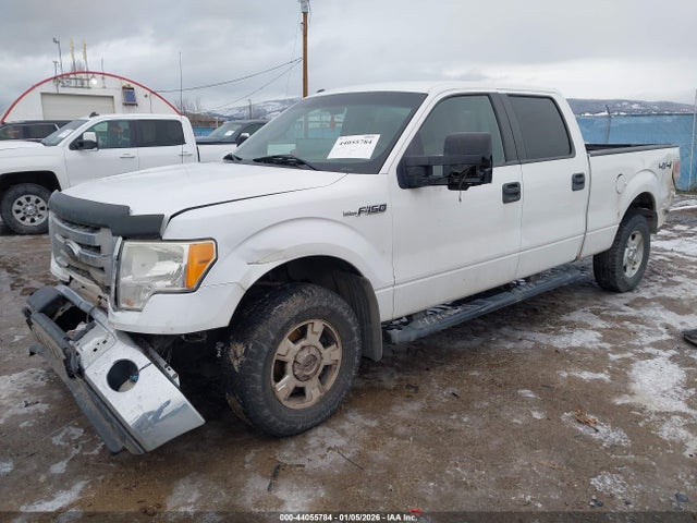 Продаж на аукціоні авто 2010 Ford F-150 Fx4/harley-davidson/king Ranch/lariat/platinum/xl/xlt, vin: 1FTFW1EV6AFD96713, номер лоту: 44055784