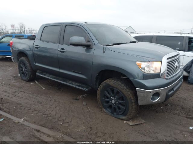 2010 TOYOTA TUNDRA 5TFHW5F11AX141702