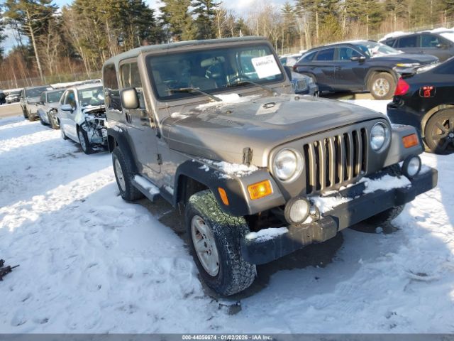 2003 JEEP WRANGLER 1J4FA49SX3P307605
