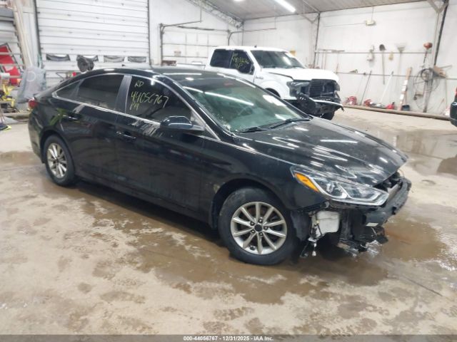 2019 HYUNDAI SONATA 5NPE24AF2KH812528