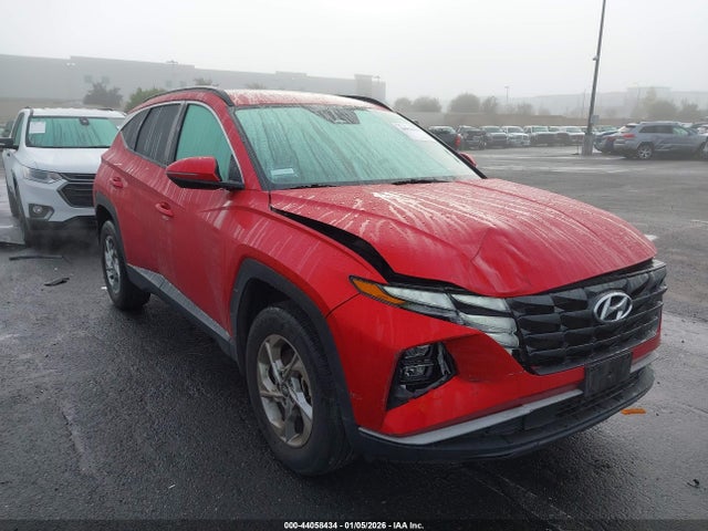 Hyundai TUCSON SEL 2023 5NMJBCAE9PH185198 Image 13