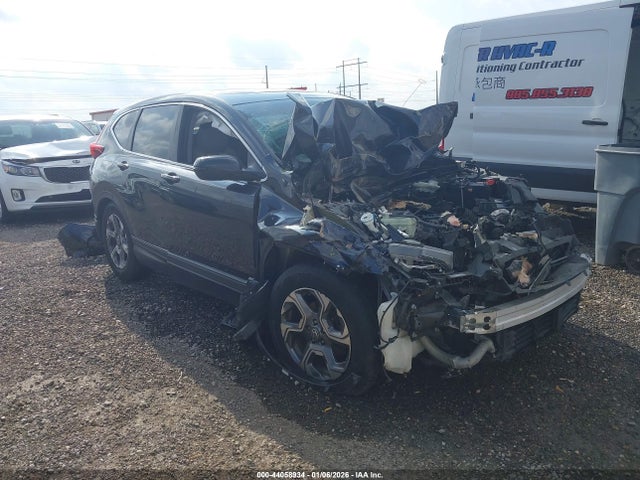 2019 HONDA CR-V 5J6RW1H89KA035794