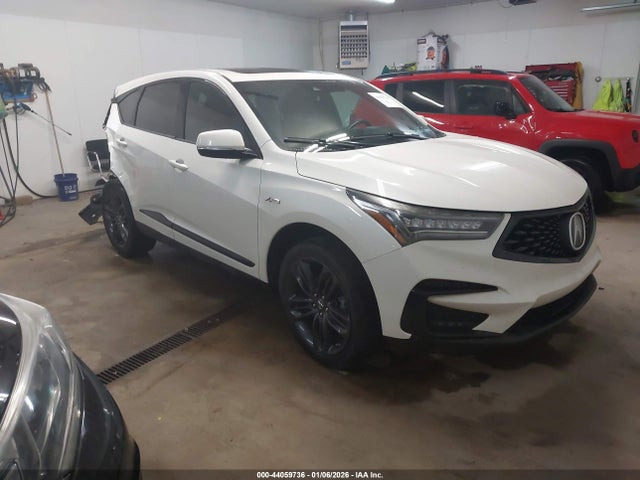2019 ACURA RDX 5J8TC2H66KL027215