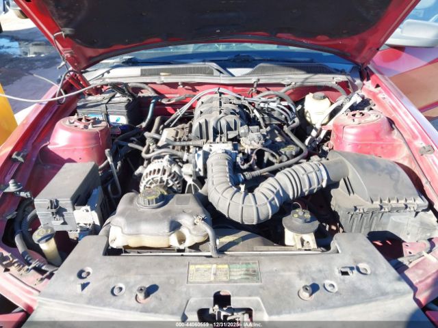 2007 FORD MUSTANG 1ZVHT80N675239731 Photo 9