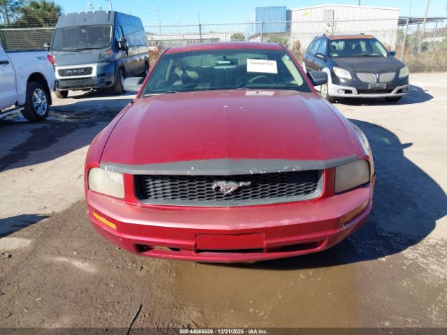 2007 FORD MUSTANG 1ZVHT80N675239731 Photo 5