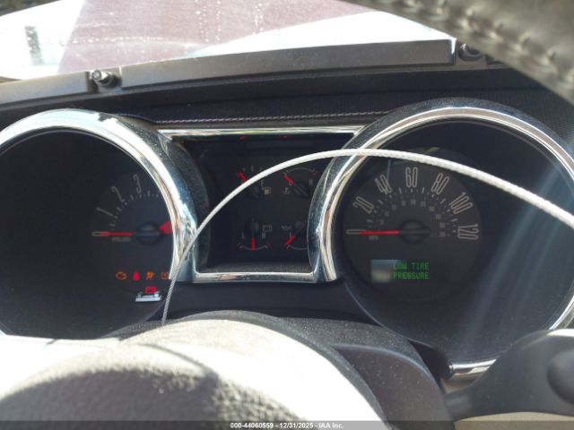 2007 FORD MUSTANG 1ZVHT80N675239731 Photo 6