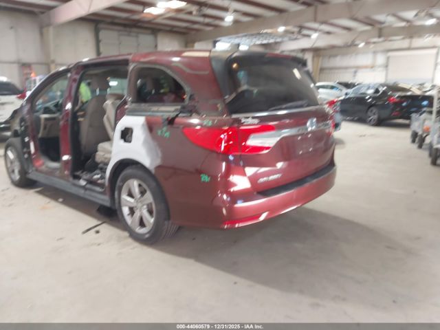 2020 HONDA ODYSSEY 5FNRL6H73LB037875 Photo 2