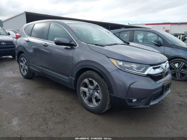 2019 HONDA CR-V 5J6RW1H81KA025700